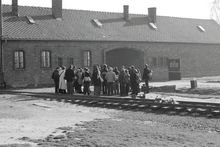Zoom: 03_2011_11_09_auschwitz_birkenau_7.jpg
