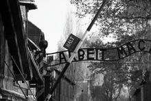 Zoom: 16_2011_11_09_stammlager_1.jpg