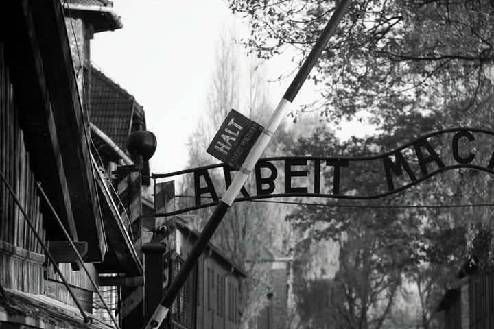 Zoom: 16_2011_11_09_stammlager_1.jpg