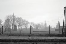 Zoom: 04_2011_11_09_auschwitz_birkenau_3.jpg