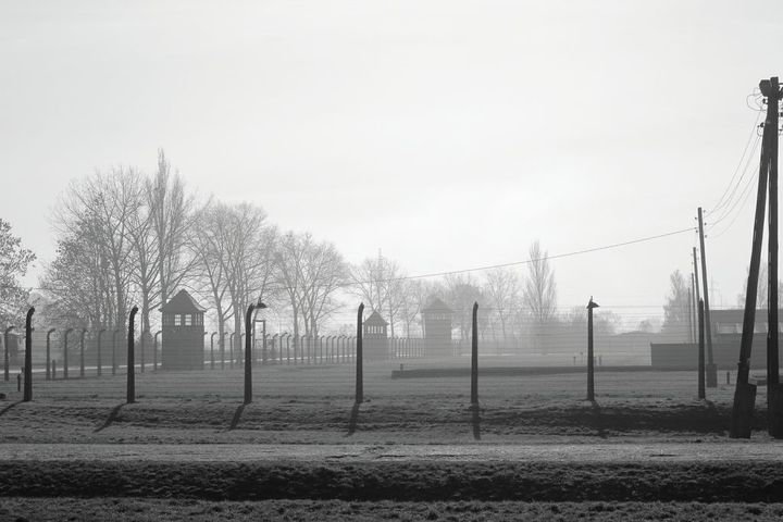 Zoom: 04_2011_11_09_auschwitz_birkenau_3.jpg