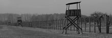 Zoom: 05_2011_11_09_auschwitz_birkenau_2.jpg