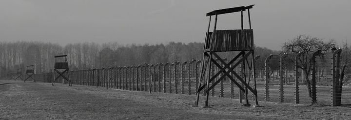 Zoom: 05_2011_11_09_auschwitz_birkenau_2.jpg