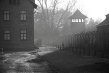 Zoom: 17_2011_11_09_stammlager_2.jpg