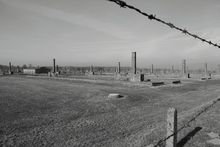 Zoom: 14_2011_11_09_auschwitz_birkenau_12.jpg