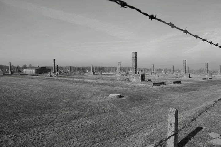 Zoom: 14_2011_11_09_auschwitz_birkenau_12.jpg